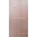 1220*2440mm 1250*2500mm various material plywood